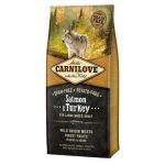 Carnilove dog Large Breed GF Adult Salmon & Turkey 12 kg