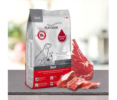 PLATINUM Natural Adult Beef + Potato