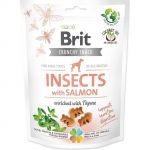 Pamlsok Brit Care dog Crunchy Cracker Insect with Salmon enriched with Thyme 200 g