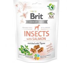 Pamlsok Brit Care dog Crunchy Cracker Insect with Salmon enriched with Thyme 200 g