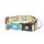 Max & Molly Dog Obojok Smart ID Exotique