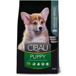 CIBAU dog puppy medium