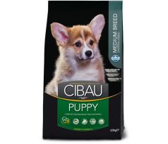 CIBAU dog puppy medium