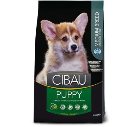 CIBAU dog puppy medium