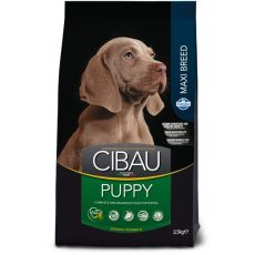 CIBAU dog puppy large breed