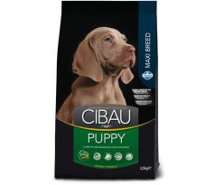 CIBAU dog puppy large breed